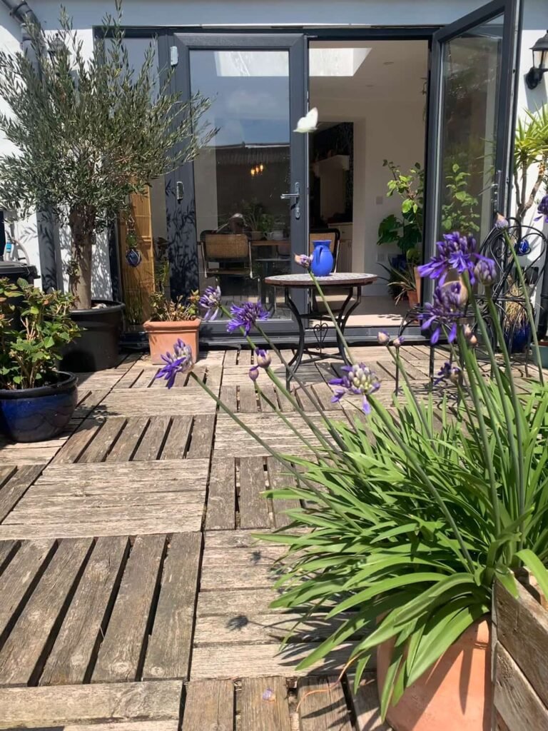 View across the decking at The Peacock House Margate with agapanthus in bloom and doors open to the sunroom kitchen